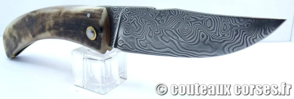 couteaux corses J Bragoni curnicciolu lame acier carbone 111 couteaux-corses-bragoni-curnicciolu-GGHFDI842-10
