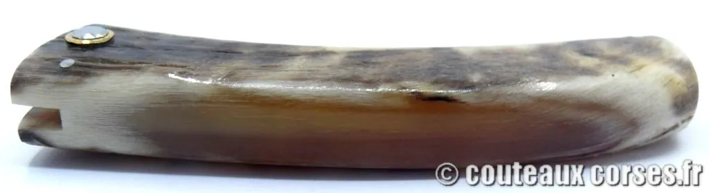 couteau corse corne de brebis 116 couteaux-corses-bragoni-curnicciolu-GGHFDI842-4