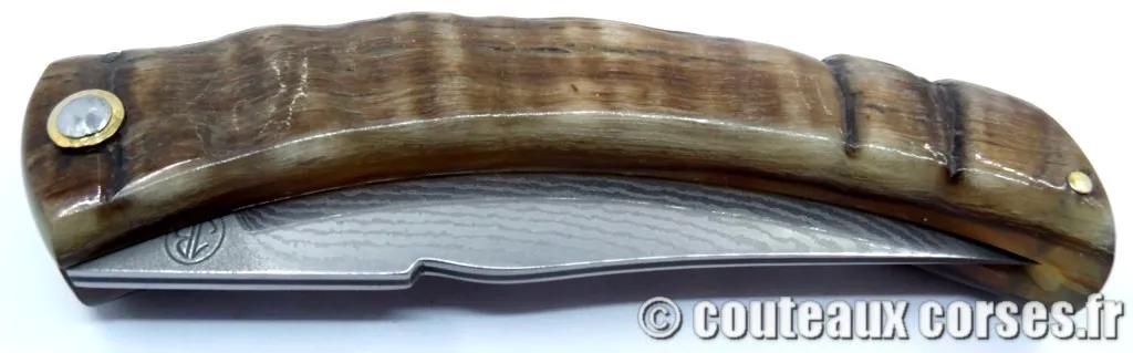 Curnicciolu corne de brebis et acier carbone xc75 112 couteaux-corses-bragoni-curnicciolu-PPMFGD800-1