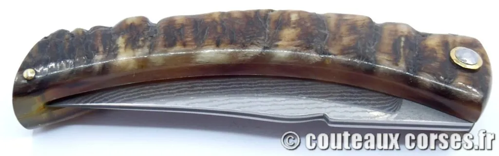 couteau corse corne de brebis 116 couteaux-corses-bragoni-curnicciolu-PPMFGD800-2