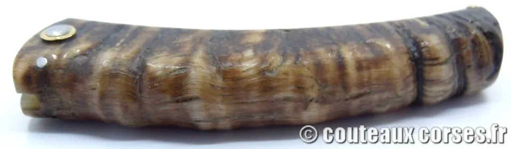 couteau corse corne de brebis 116 couteaux-corses-bragoni-curnicciolu-PPMFGD800-4