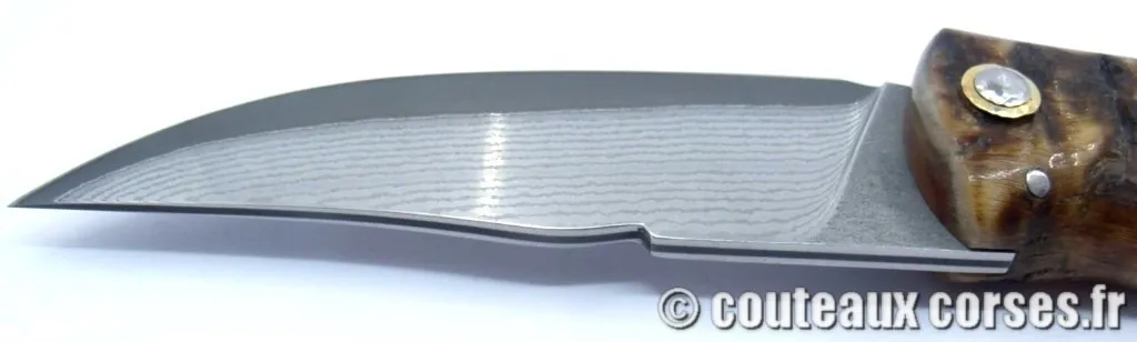 couteau corse corne de brebis 118 couteaux-corses-bragoni-curnicciolu-PPMFGD800-8