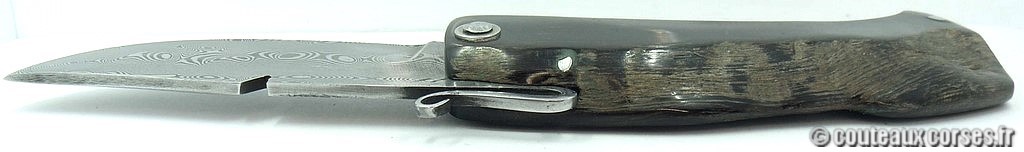 Couteau-corse-agostini-pmc-1i-3.jpg