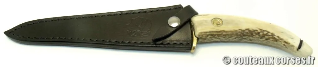 Couteau artisanal corse, A Vellutini cb952 couteaux-corses-padovani-SDZZP603-5