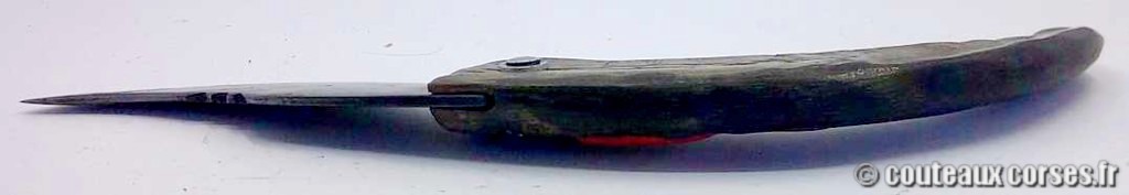 Curnicciolu lame acier inox trempe douce 3.0 mm manche bouc-KVVBF112-7.