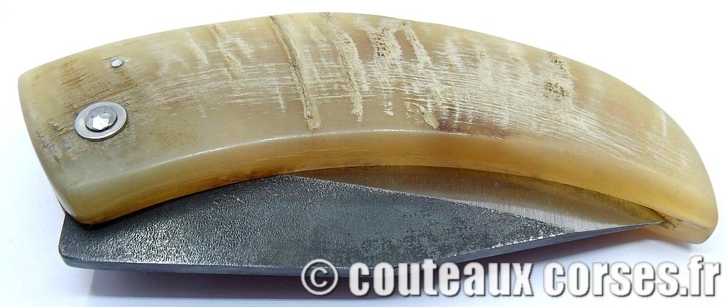 curnicciolu-corne-bélier-ska-KDOPR951---2