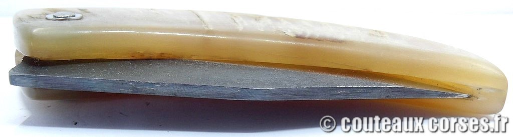 curnicciolu-corne-bélier-ska-KDOPR951--3
