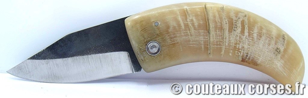curnicciolu-corne-bélier-ska-KDOPR951--5
