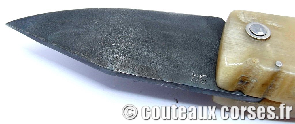 curnicciolu-corne-bélier-ska-KDOPR951--8