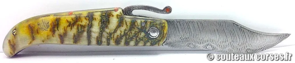 Couteau artisanal corse, A Vellutini cb760 couteaux-corses-vellutini-DFSBO014-6.jpg