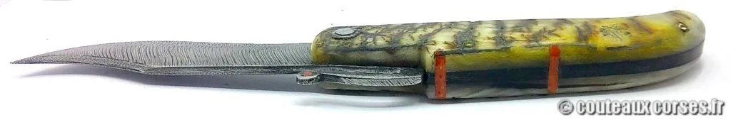 Couteau artisanal corse, A Vellutini 645 couteaux-corses-vellutini-DFSBO014-7.jpg