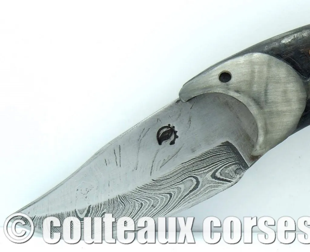 Couteau artisanal corse, Vellutini cc2 couteau_corse_vellutini_belier_et_damas_TNUY754_2-3