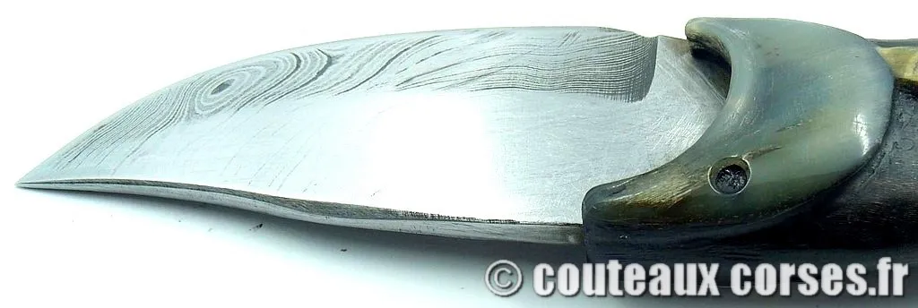 Couteau corse, A Vellutini 6 couteau_corse_vellutini_belier_et_damas_TNUY754-6