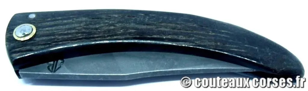 Curnicciolu corne de brebis et acier carbone xc75 112 VBERH444