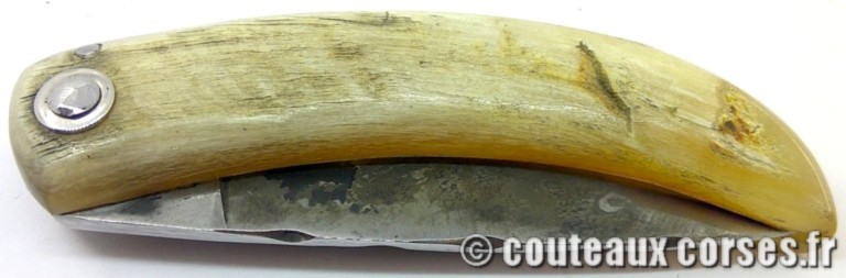 couteau-corse-artisanal-ccmp-752-1