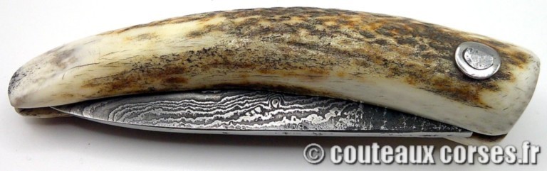 couteau-corse-d-artisan-587MP-2