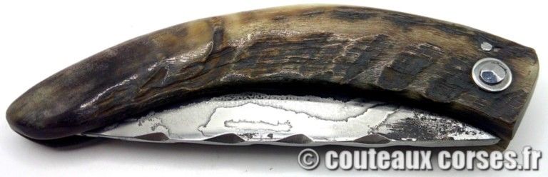 couteaux-corses-traditionnels-MP0706-6-2 couteaux-corses-traditionnels-MP0706-6-2
