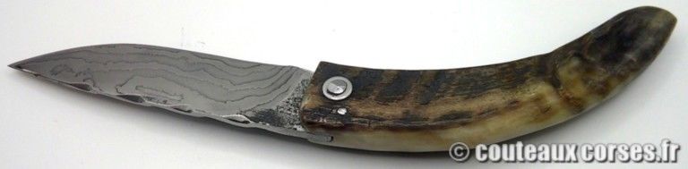 couteaux-corses-traditionnels-MP0706-6-7 couteaux-corses-traditionnels-MP0706-6-7