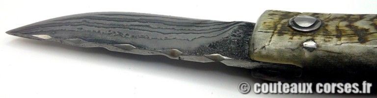 couteau-corse-artisanal-padovani-MP-0707-4-8 couteau-corse-artisanal-padovani-MP-0707-4-8