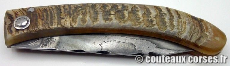 couteaux-corses-MP0806-2-1 couteaux-corses-MP0806-2-1
