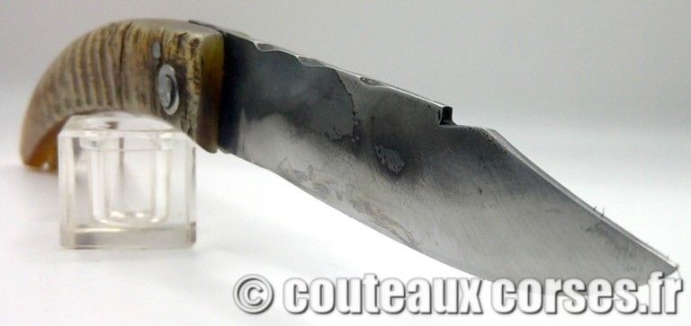 couteaux-corses-MP0806-2-10 couteaux-corses-MP0806-2-10