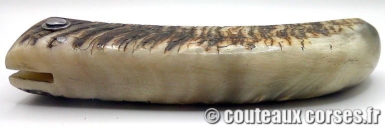 couteaux-corses-PM0806-5-3 couteaux-corses-PM0806-5-3
