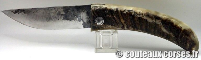 Curnichjolu lame 2.0 mm acier carbone et corne de bélier naturelle-5 couteaux-corses-PM0806-5-5