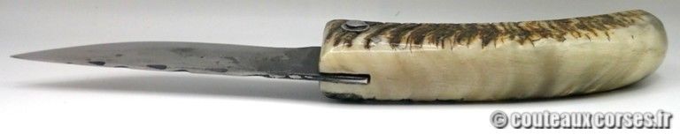 Curnichjolu lame 2.0 mm acier carbone et corne de bélier naturelle-7 couteaux-corses-PM0806-5-7
