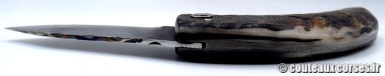 couteau-corse-curnicciolu-padovani-MP0806-9-7 couteau-corse-curnicciolu-padovani-MP0806-9-7