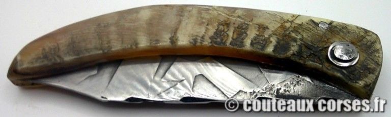 couteau-corse-artisanal-padovani-MP-1906-6-2