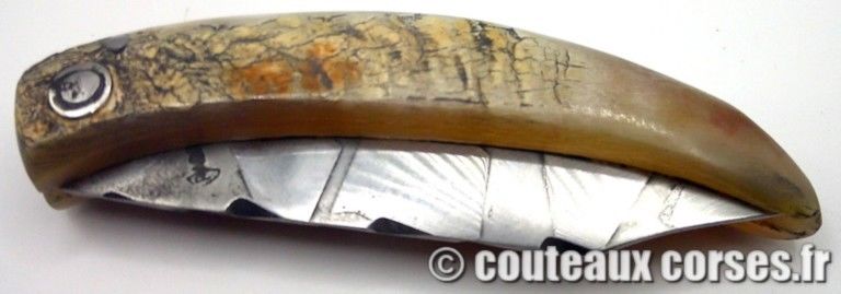 couteau-corse-artisanal-padovani-MP-1906-61-10-1