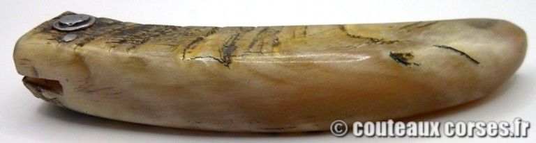 couteau-corse-artisanal-padovani-MP-1906-61-10-4