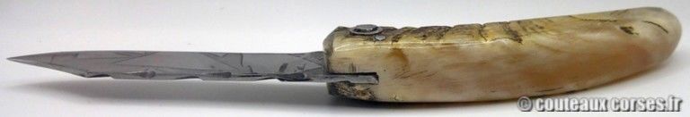 couteau-corse-artisanal-padovani-MP-1906-61-10-7
