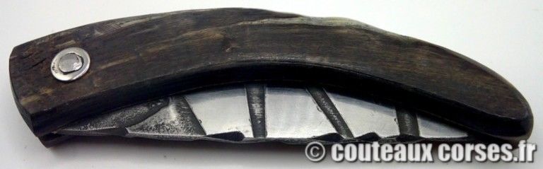 couteau-corse-artisanal-padovani-MP-1906-3-1 couteau-corse-artisanal-padovani-MP-1906-3-1
