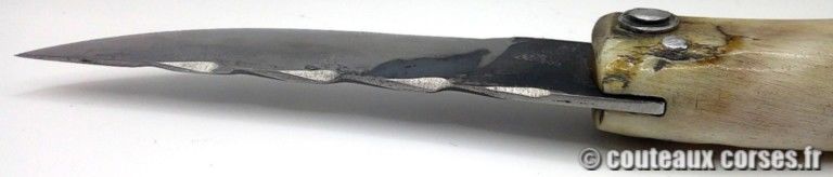 couteau-corse-artisanal-padovani-MP-1906-61-7-3