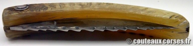 couteau-corse-artisanal-padovani-MP-1906-61-9-3