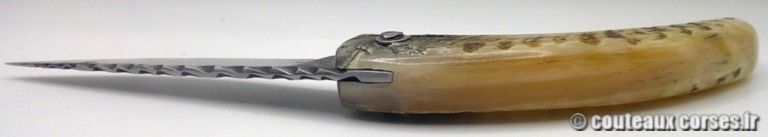couteau-corse-artisanal-padovani-MP-1906-61-9-7