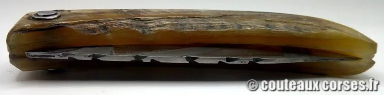 couteau-corse-artisanal-padovani-MP-2904-1-3 couteau-corse-artisanal-padovani-MP-2904-1--3