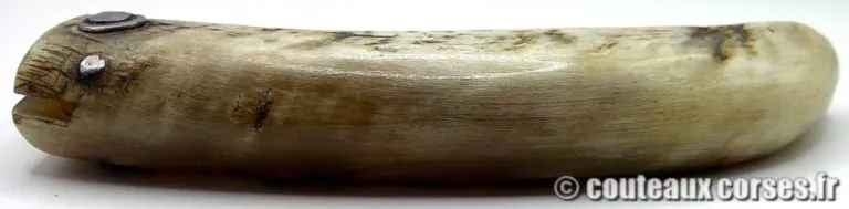 couteau-corse-artisanal-padovani-MP-2904-1--4 couteau-corse-artisanal-padovani-MP-2904-1--4
