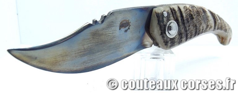 couteaux-corses-vellutini-DDFOTR244-9.