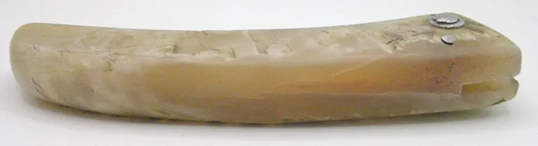 couteau-corse-artisanal-padovani-MP-couteau-corse-artisanal-padovani-couteau-corse-artisanal-padovani-MP-couteau-corse-artisanal-padovani-MP2603-3-3