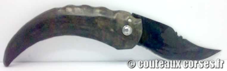 Curnicciolu lame acier inox trempe douce 3.0 mm manche bouc-_JFDSX114-6