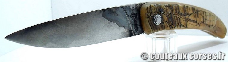 couteau-corse-curnicciolu-padovani-MNVD987-1