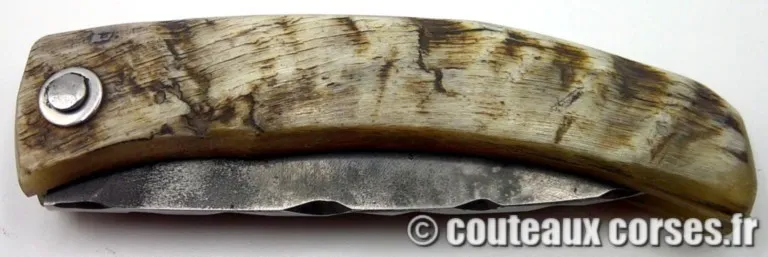couteaux-corses-Pm030225-1 couteaux-corses-Pm030225-1