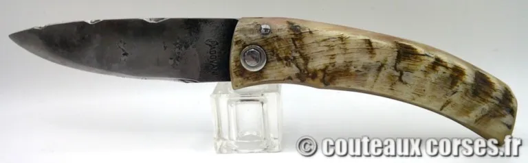 Curnichjolu lame 2.0 mm acier carbone et corne de bélier naturelle-5 couteaux-corses-Pm030225-2-5